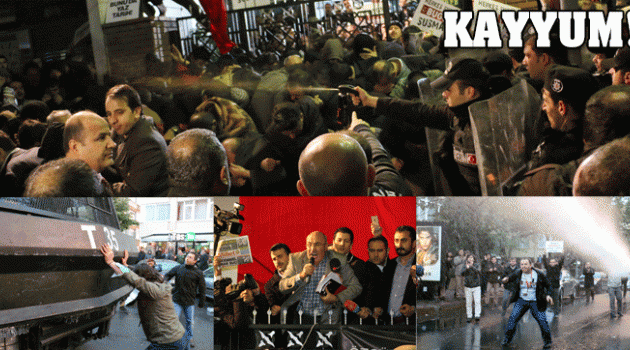 Tomalı, bibergazlı kayyum!
