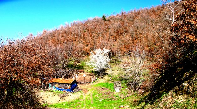 Turgutlu bir başka güzel