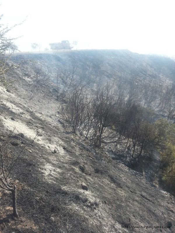 Turgutlu’da 3 ayrı bölgede orman yangını