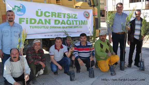 Ücretsiz fidan dağıtıldı