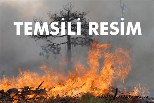 Sabotaj ihtimali büyük