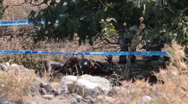 Yanmış erkek cesedi bulundu