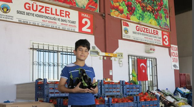Yerli patlıcan hale geldi