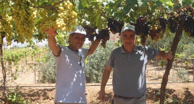 Yurttaş , Halkı kışkırtma Hasan Ören !