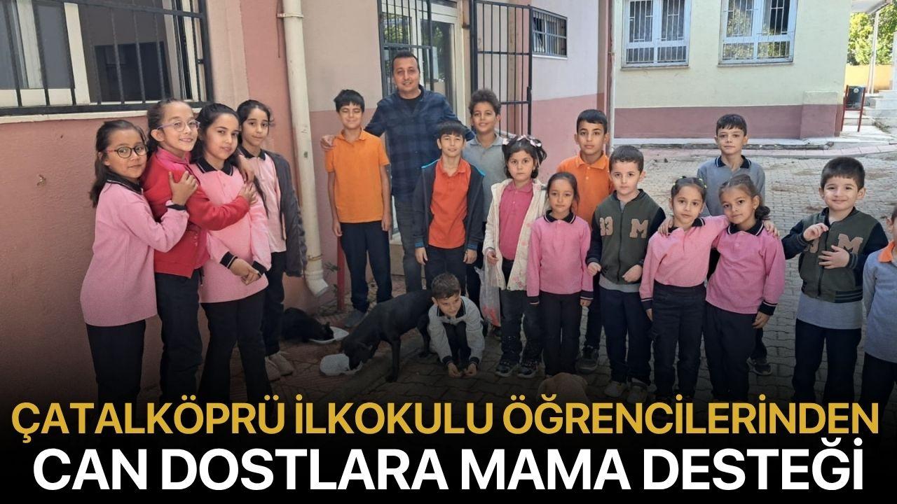 Çatalköprü İlkokulu Öğrencilerinden Can Dostlara Mama Desteği