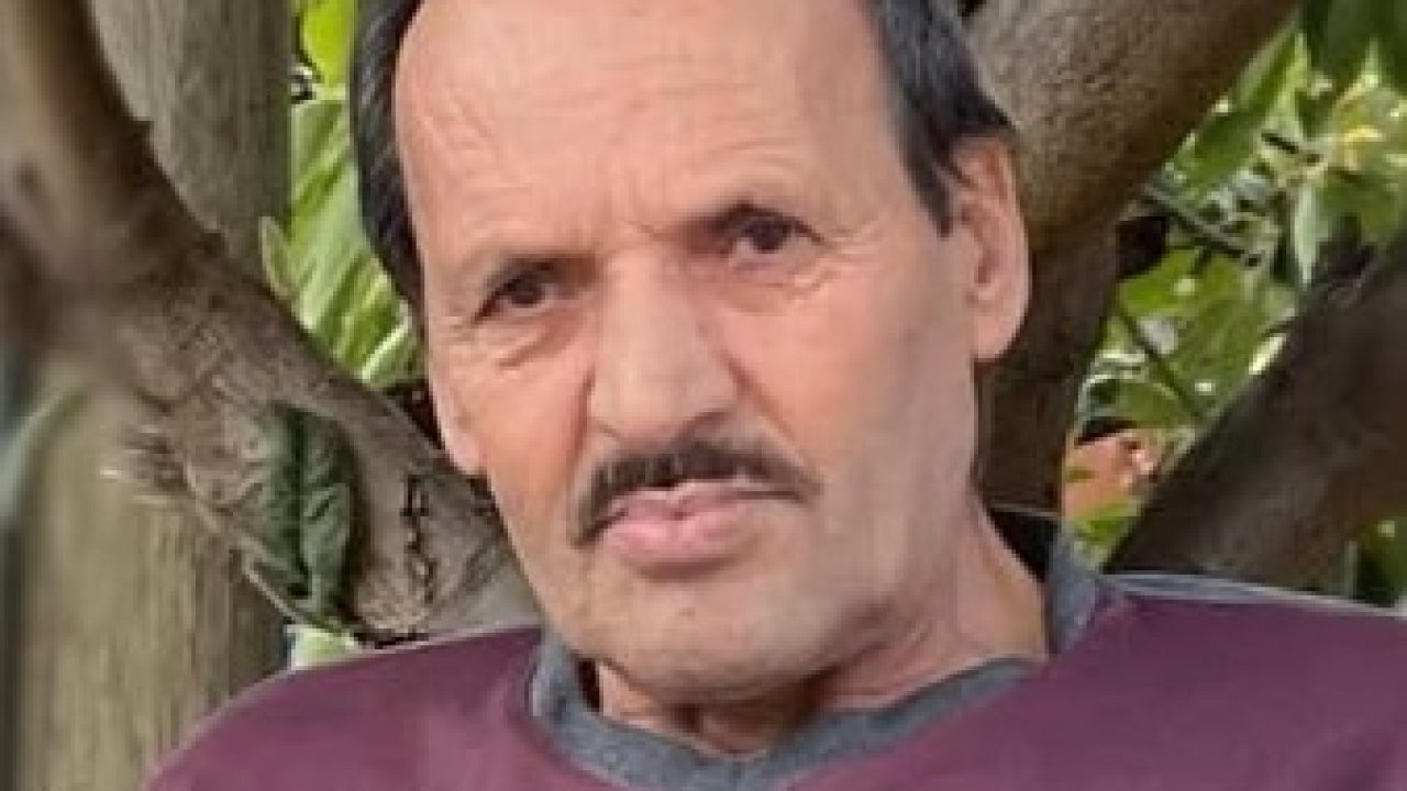 Çıntar toplamak için gittiği ormanda ölü olarak bulundu!