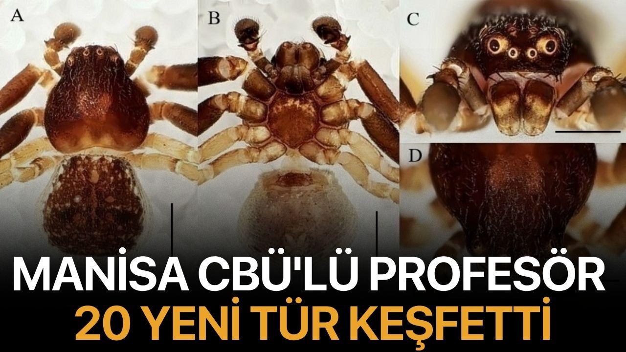 Manisa CBÜ'lü profesör 20 yeni tür keşfetti