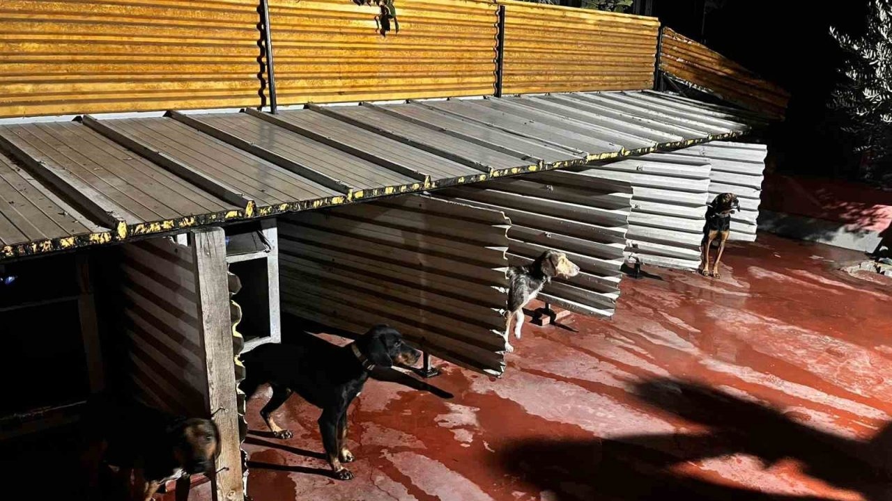 O şahsa tam tamına 62 bin 310 TL para cezası