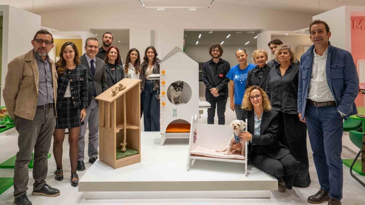 Öğrencilerin tasarımları barınaklara can suyu olacak