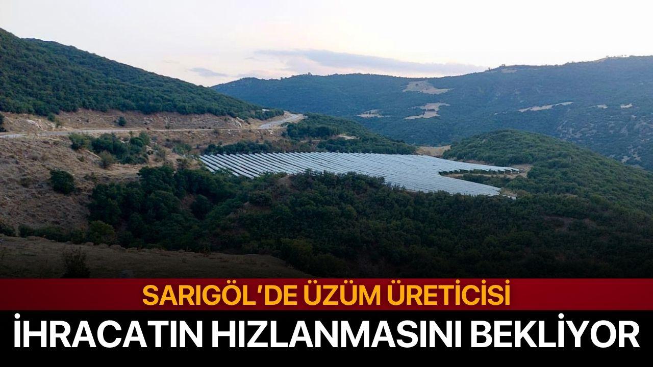 Sarıgöl’de üzüm üreticisi ihracatın hız kazanmasını bekliyor