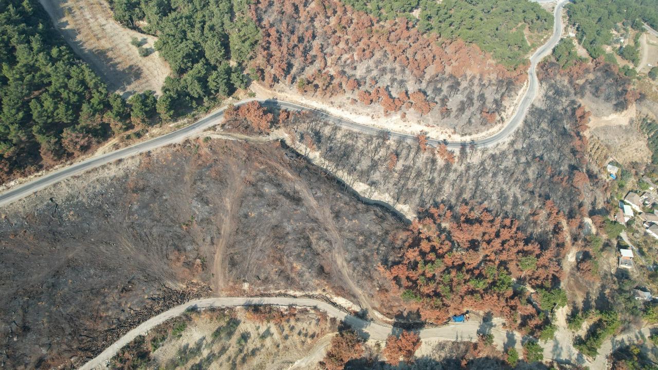 Turgutlu ve 14 noktada “Geleceğe Nefes” etkinliğiyle binlerce fidan toprakla buluşacak