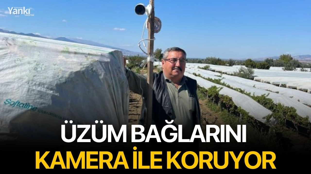 Üzüm bağlarını kamera ile koruyor