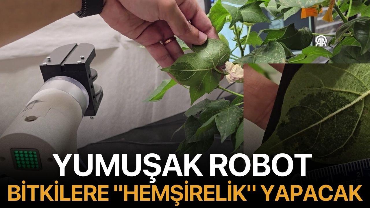 Yumuşak robot bitkilere "hemşirelik" yapacak