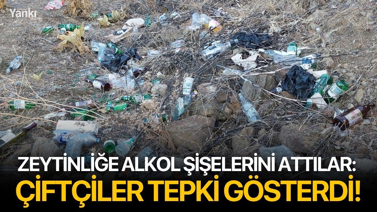 Zeytinliğe alkol şişelerini attılar: Çiftçiler tepki gösterdi!