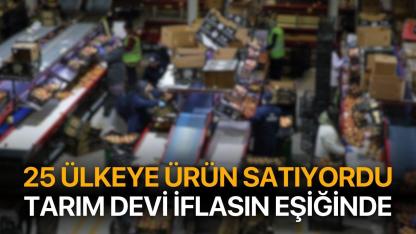 25 ülkeye ürün gönderiyordu! Tarım devi konkordato istedi