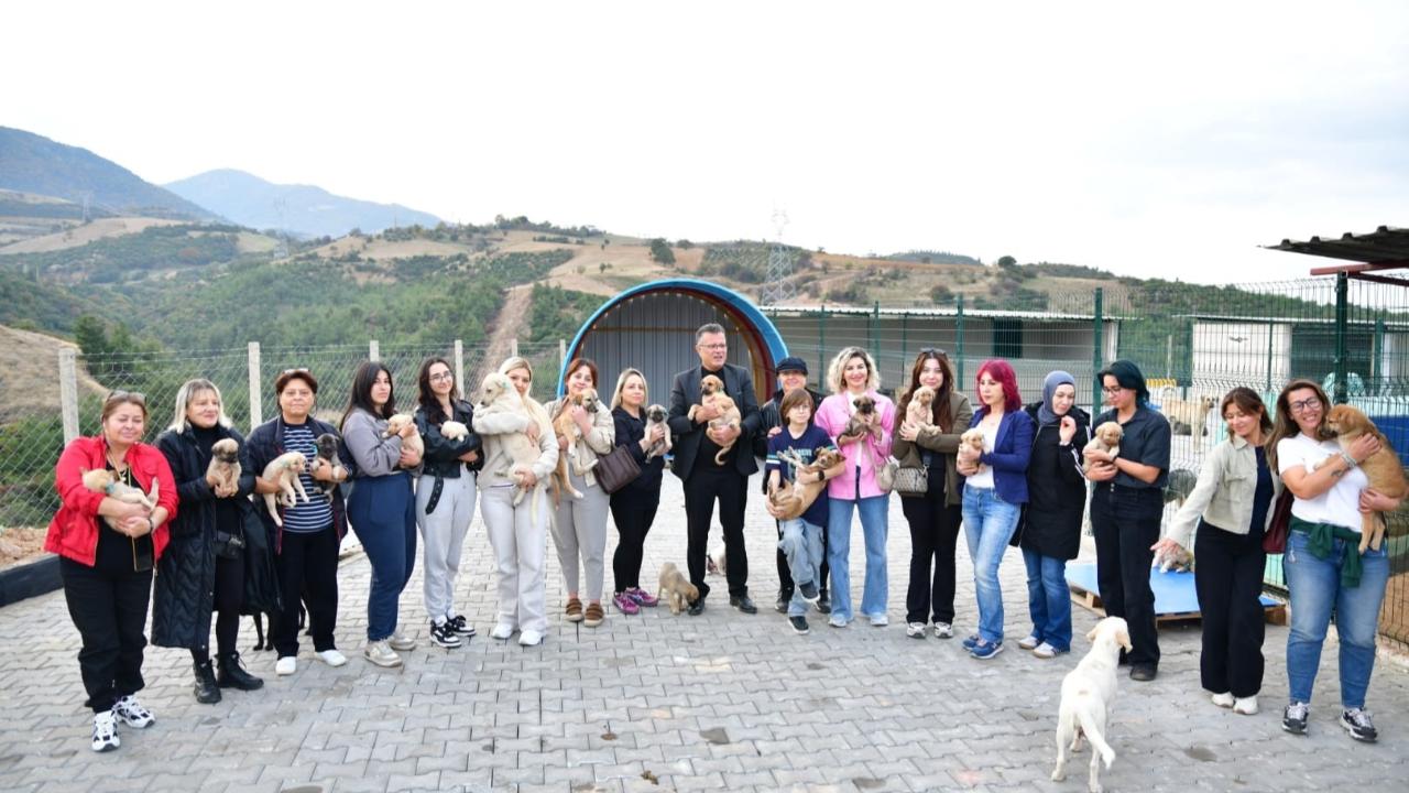 450 Sokak Hayvanına Modern Doğal Yaşam Merkezi Açıldı