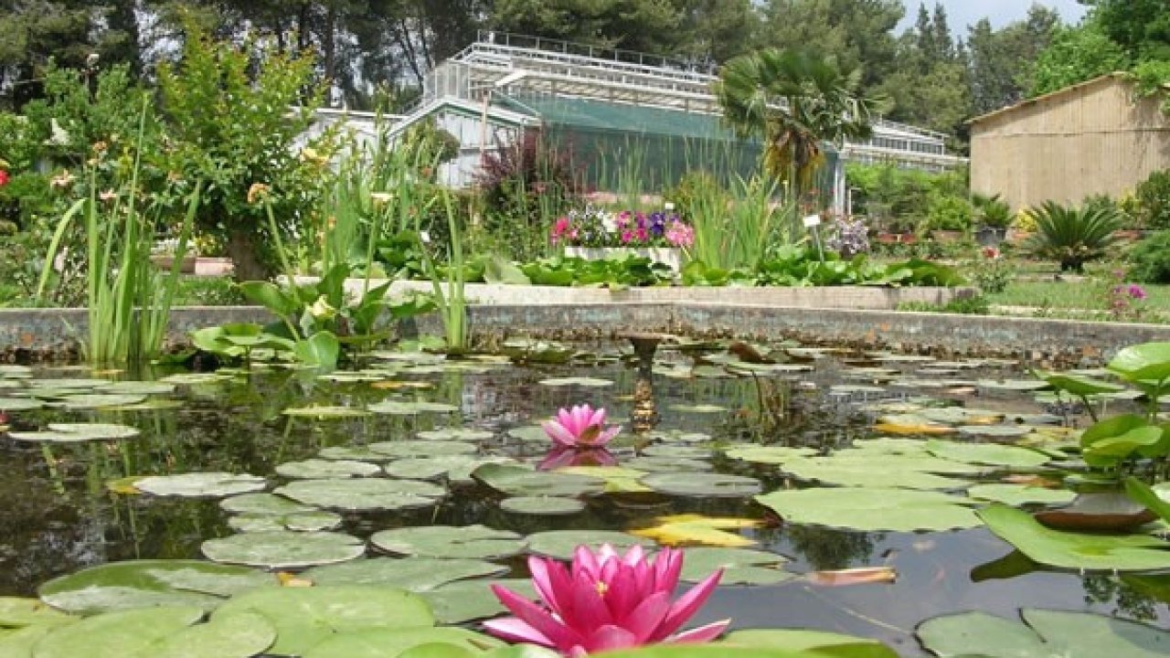 Ege Üniversitesinin endemik tür cenneti: Botanik Bahçesi