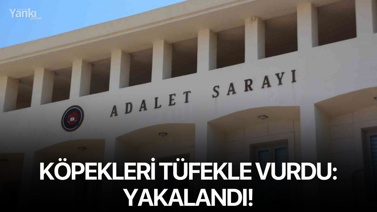 Köpekleri tüfekle vurdu: Yakalandı!