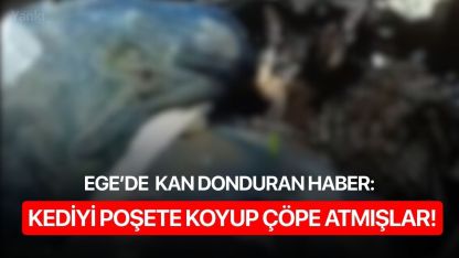 Kediyi poşete koyup çöpe attılar!