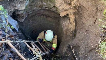 5 metrelik kuyuya düşen köpeği itfaiye kurtardı