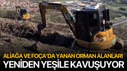 Aliağa ve Foça’da yanan orman alanları yeniden yeşile kavuşuyor