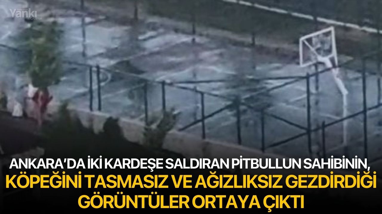 Ankara’da iki kardeşe saldıran pitbullun sahibinin, köpeğini tasmasız ve ağızlıksız gezdirdiği görüntüler ortaya çıktı