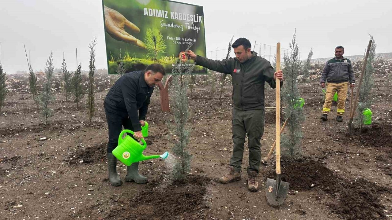 Baybatur'dan yanan orman alanına bin fidan bağışı