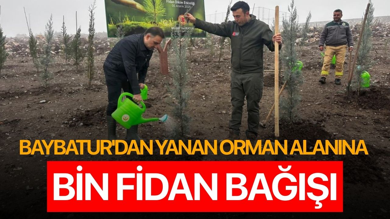 Baybatur'dan yanan orman alanına bin fidan bağışı