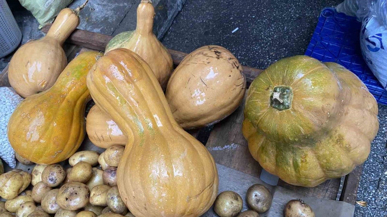 Hem kendisi hem de çekirdeği şifa!