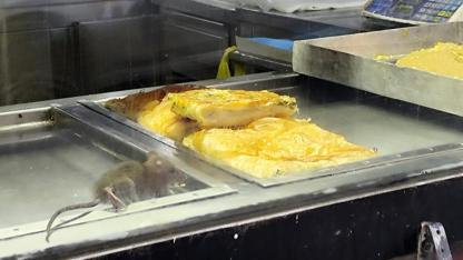 İzmir'de mide bulandırıcı görüntü: Börek tezgahlarında fare cirit attı