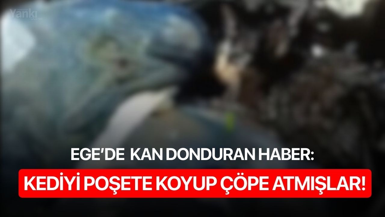 Kediyi poşete koyup çöpe attılar!
