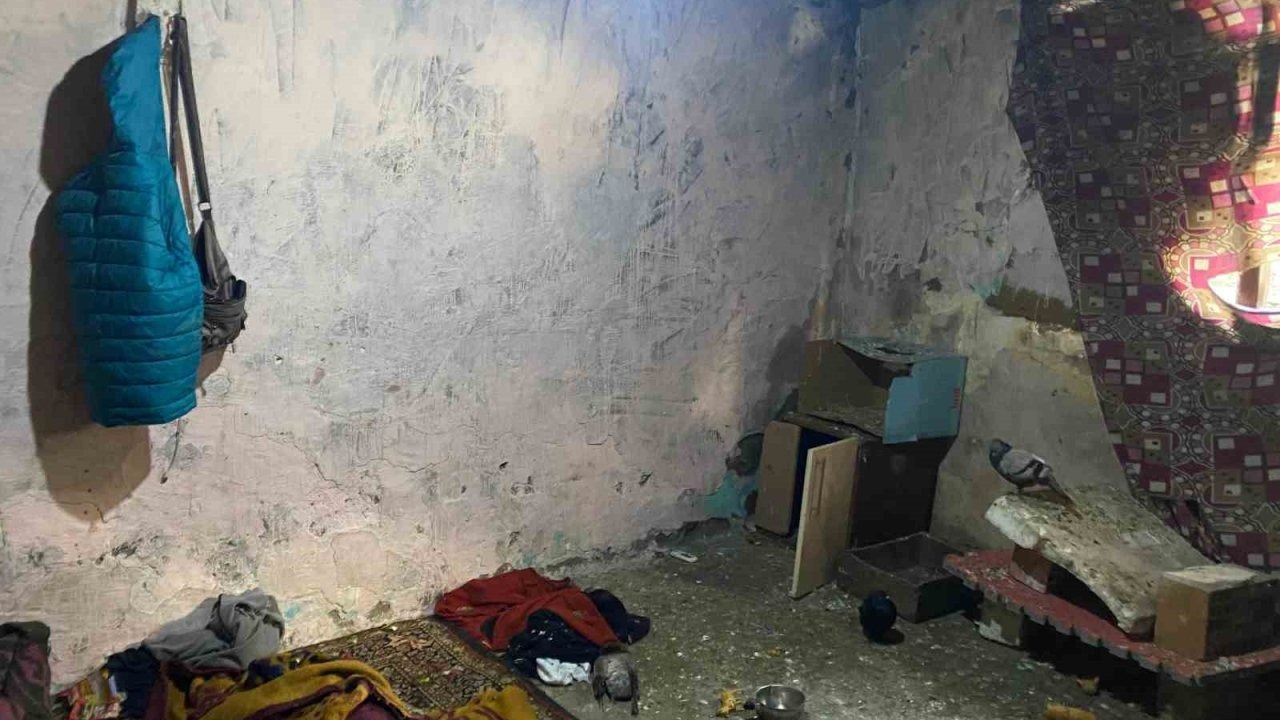 Kümeste yaşamaya mahkum edilen çocuklar kurtarıldı