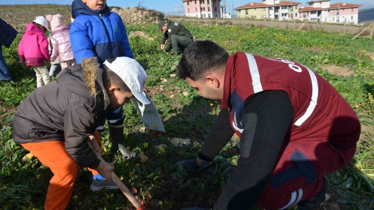 Manisa’da yanan alanlara 100 bininci fidan dikildi