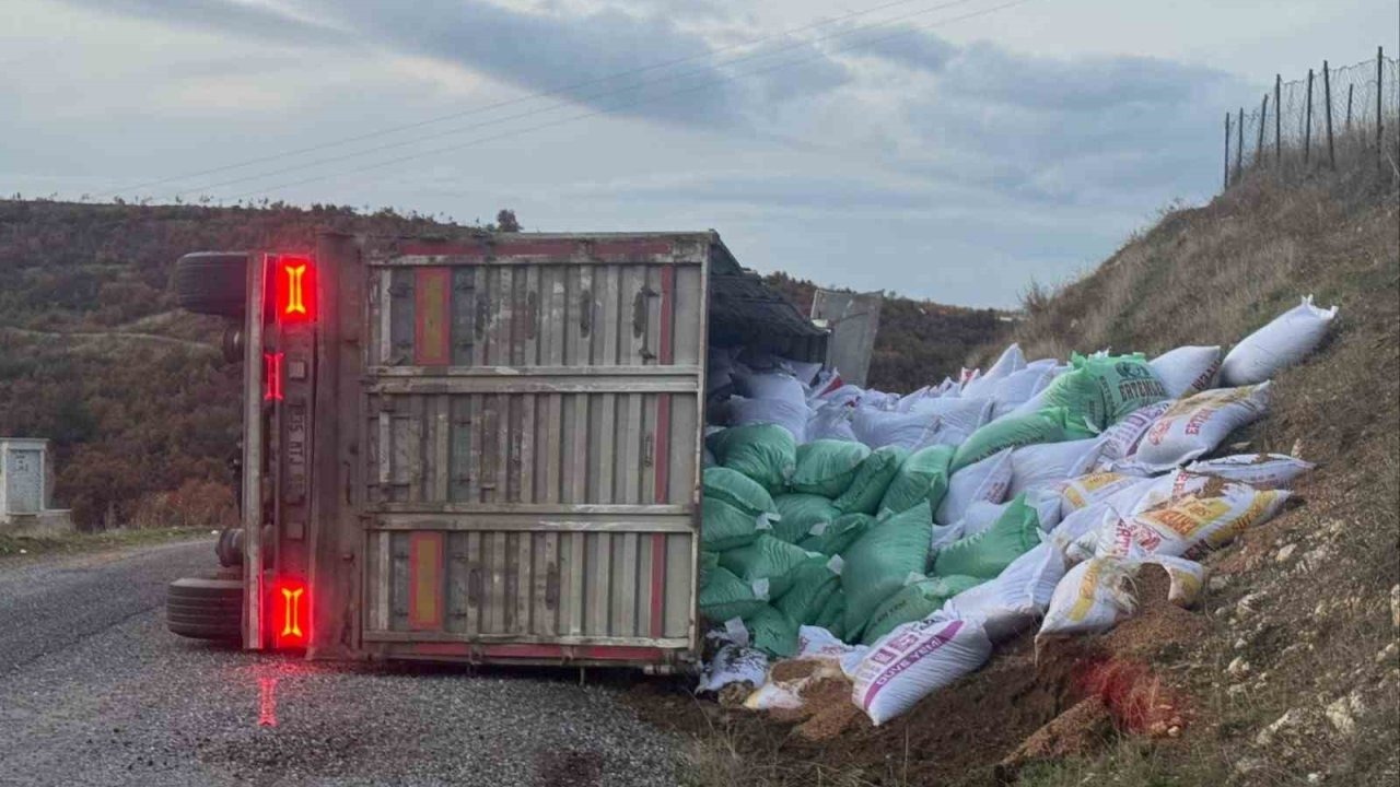 Manisa'da yem yüklü tır devrildi!