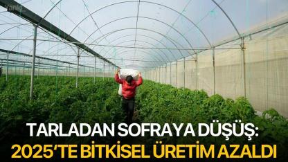 Tarladan sofraya düşüş:  2025‘te Bitkisel üretim azaldı