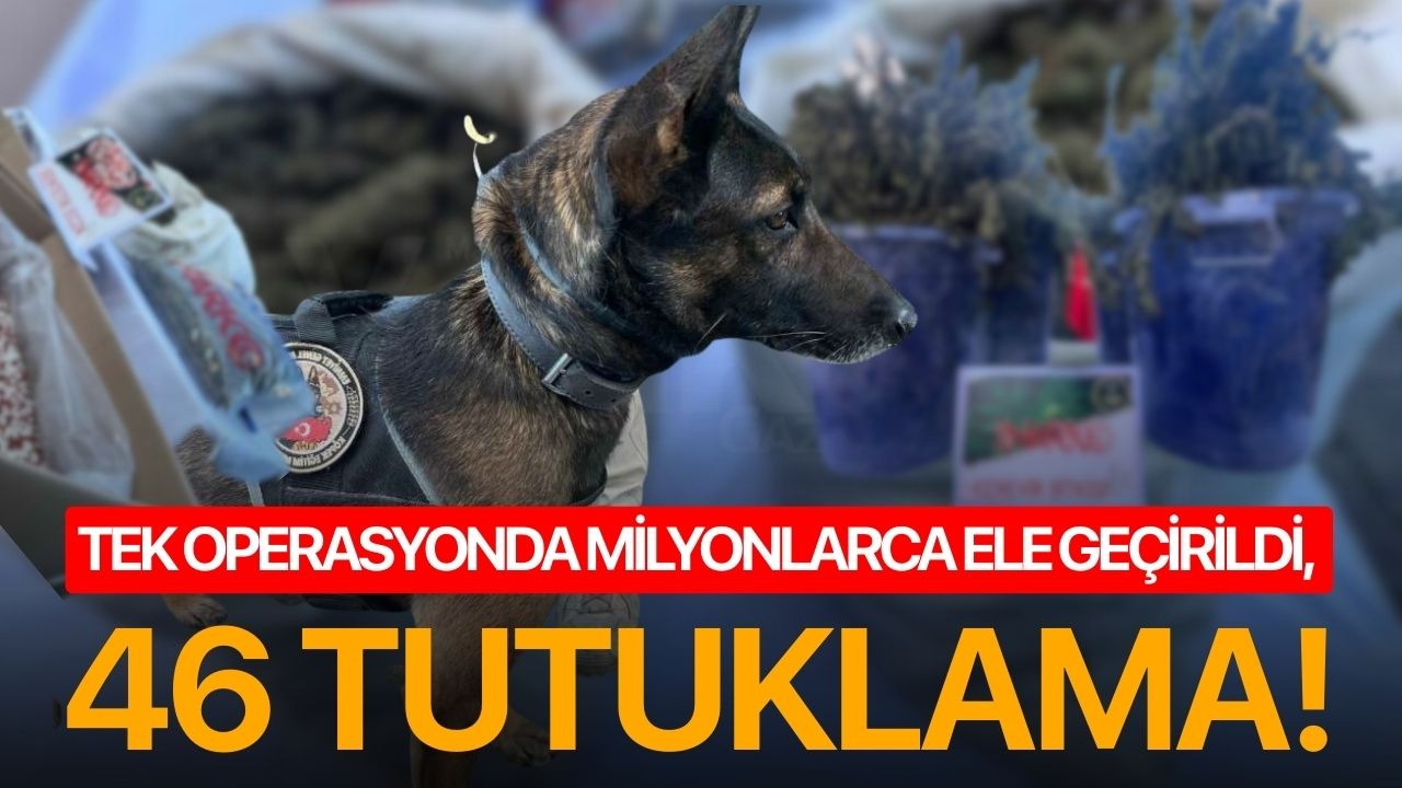 Tek operasyonda milyonlarca ele geçirildi, 46 tutuklama!