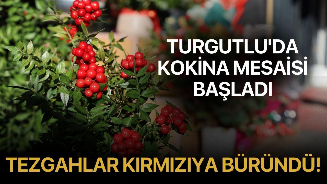 Turgutlu'da kokina mesaisi başladı, tezgahlar kırmızıya büründü!