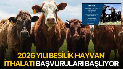 2026 Yılı Besilik Hayvan İthalatı Başvuruları Başlıyor
