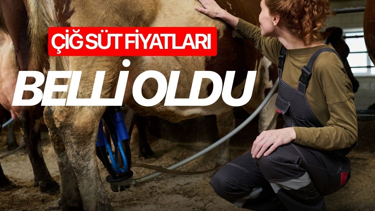 Çiğ süt fiyatları belli oldu