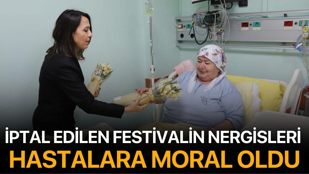 İptal edilen festivalin nergisleri hastalara moral oldu