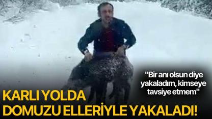Karlı yolda domuzu elleriyle yakaladı!