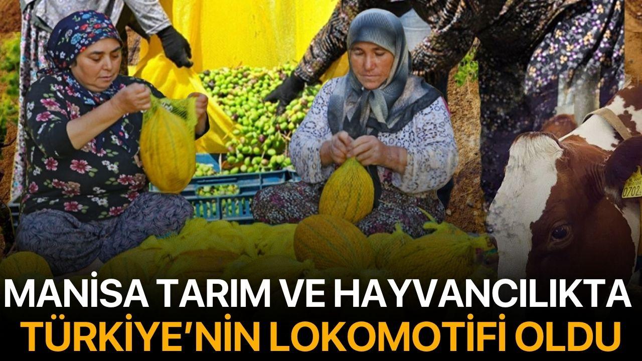 Manisa Tarım ve Hayvancılıkta Türkiye’nin Lokomotifi Oldu