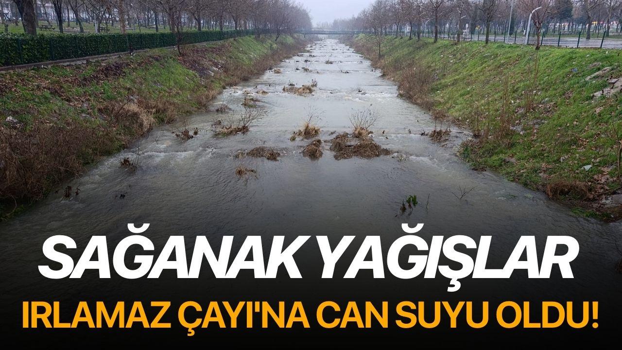 Sağanak yağışlar Irlamaz Çayı'na can suyu oldu!