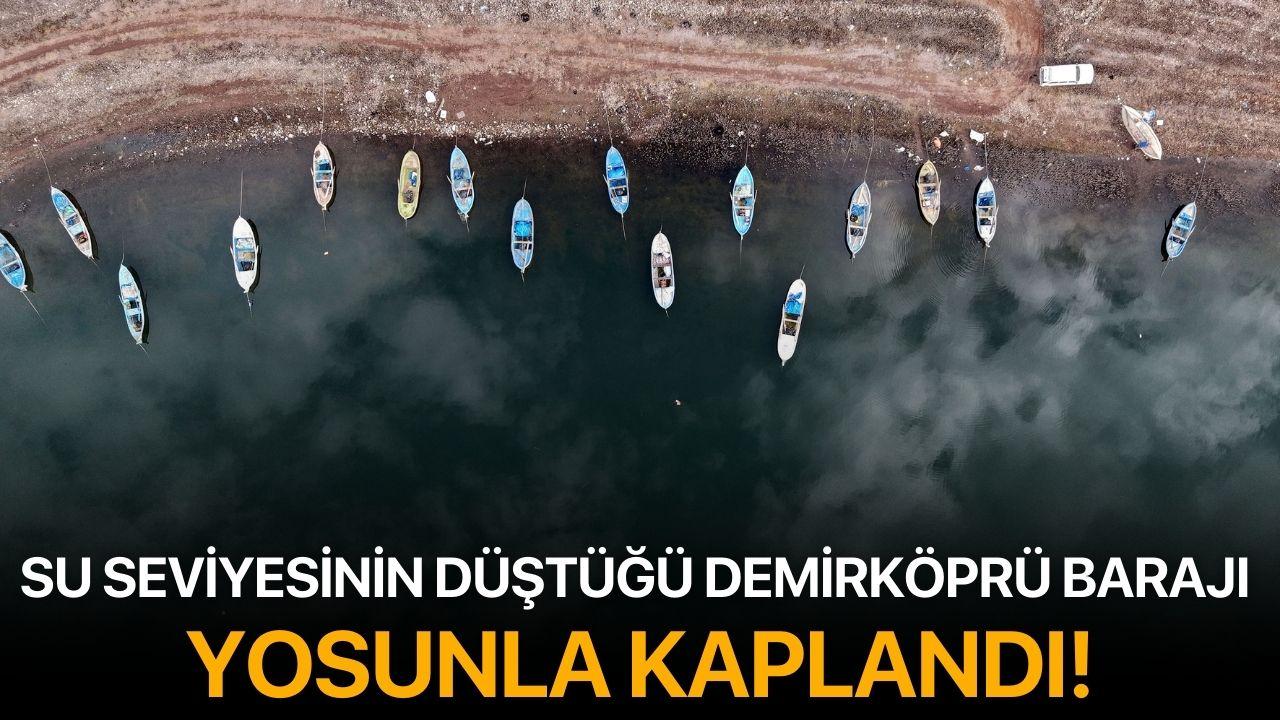 Su Seviyesinin Düştüğü Demirköprü Barajı Yosunla Kaplandı