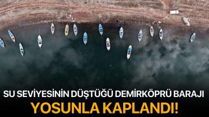 Su Seviyesinin Düştüğü Demirköprü Barajı Yosunla Kaplandı