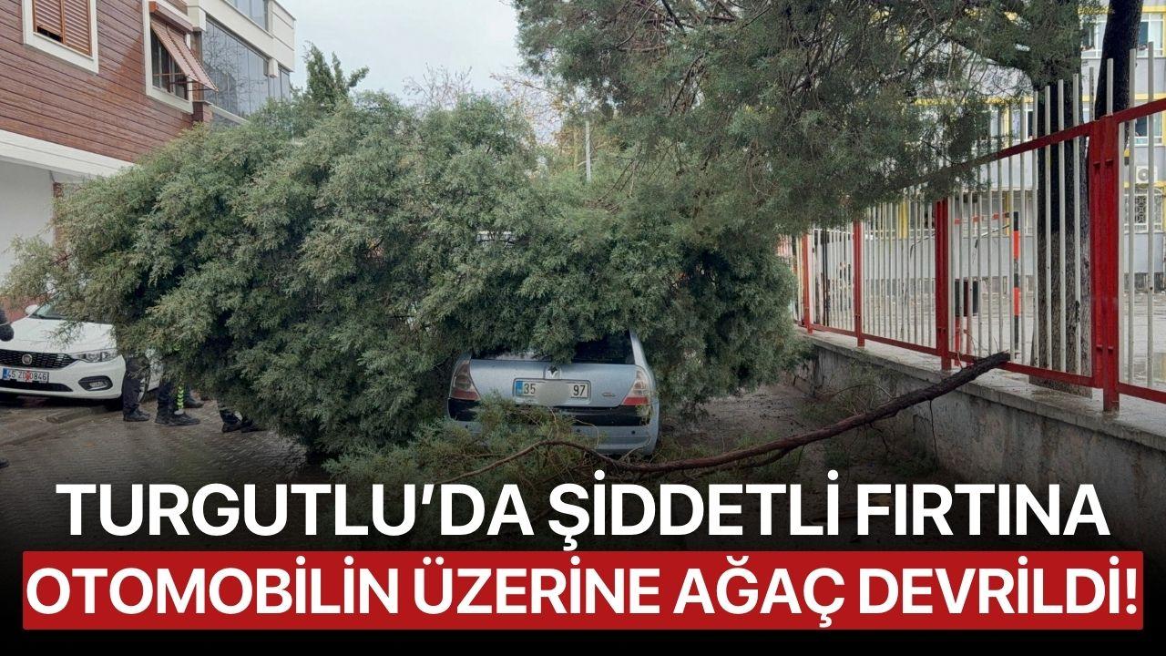 Turgutlu’da Şiddetli Fırtına: Otomobilin Üzerine Ağaç Devrildi
