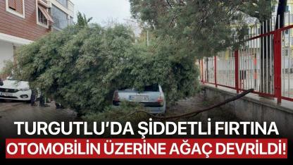 Turgutlu’da Şiddetli Fırtına: Otomobilin Üzerine Ağaç Devrildi