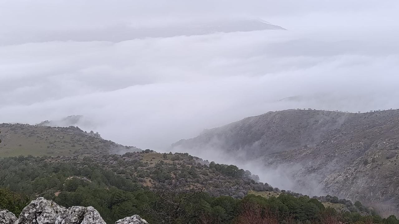 Yağmurun Ardından Manisa’da Kartpostallık Manzaralar