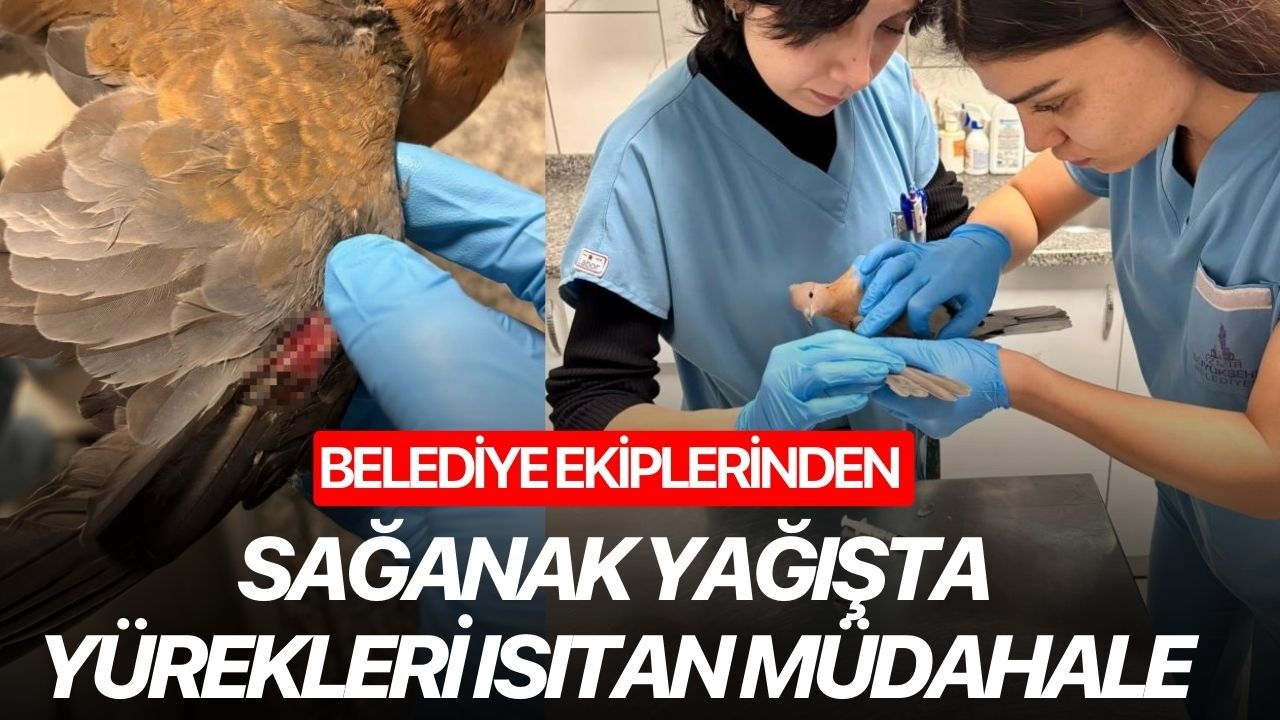Belediye Ekiplerinden Sağanakta Yürekleri Isıtan Müdahale