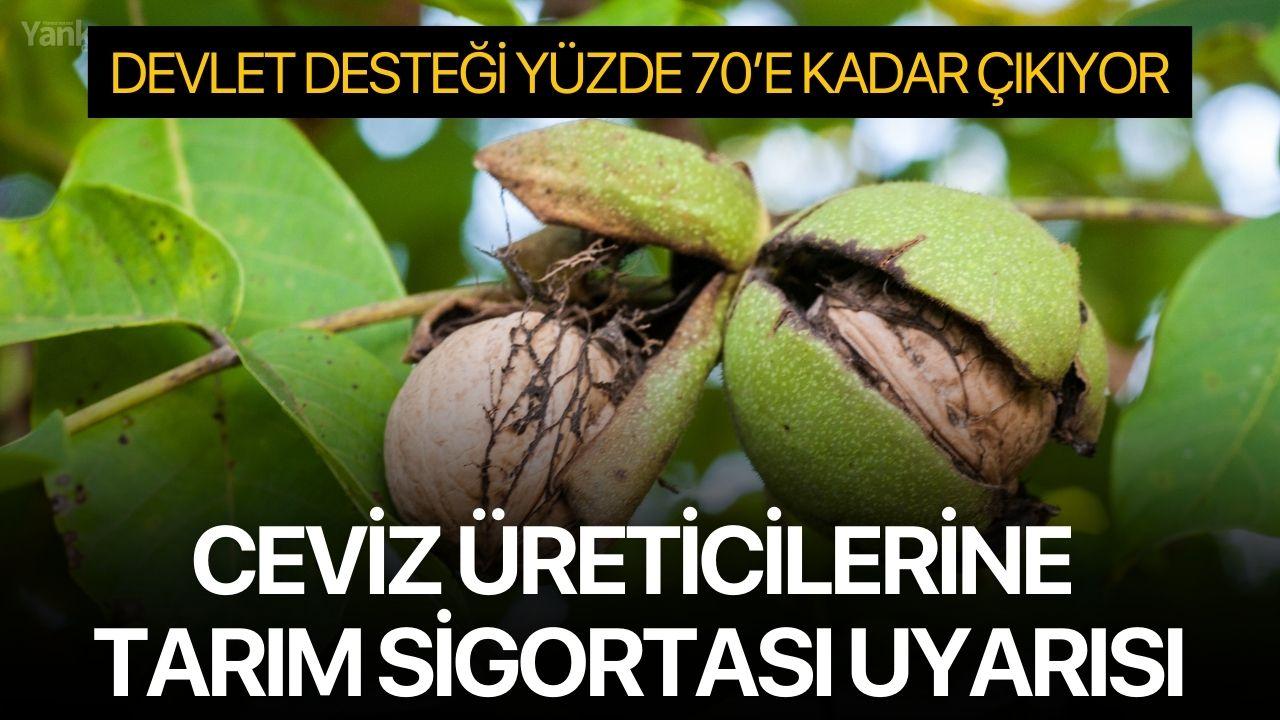 Ceviz Üreticilerine Tarım Sigortası Uyarısı